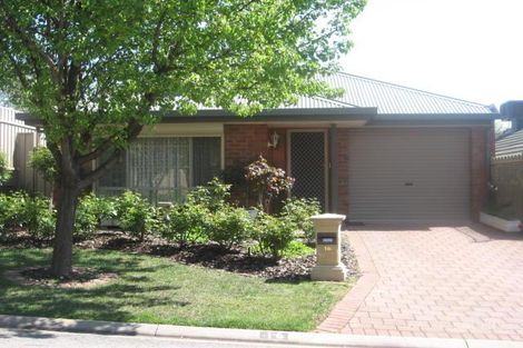 16 Baynes Ct, Greenwith, SA 5125