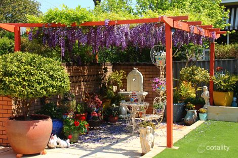 Property photo of 58 Bucktin Street Collie WA 6225