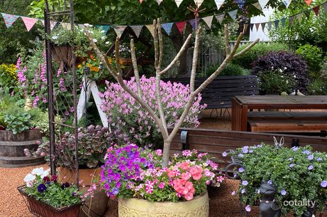 Property photo of 58 Bucktin Street Collie WA 6225