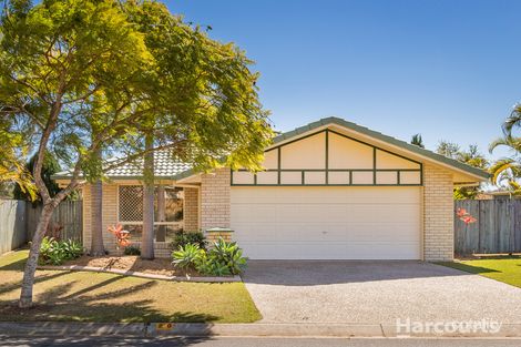 Property photo of 20 Sunflower Crescent Calamvale QLD 4116