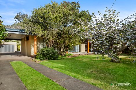 Property photo of 69 Brooklyn Avenue Frankston VIC 3199
