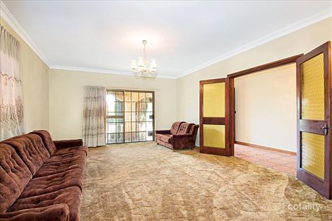 Property photo of 1A Armstrong Street Ashfield NSW 2131