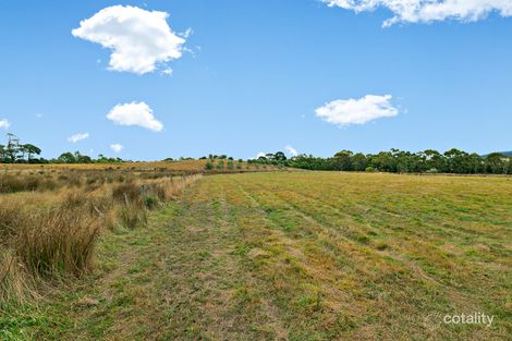 Property photo of 25 Austins Road Humevale VIC 3757