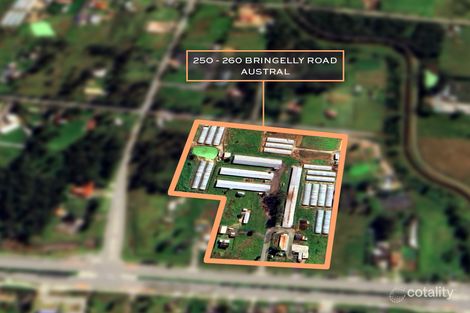 Property photo of 250 Bringelly Road Austral NSW 2179