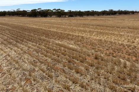 Lascelles North Rd, Lascelles, VIC 3487