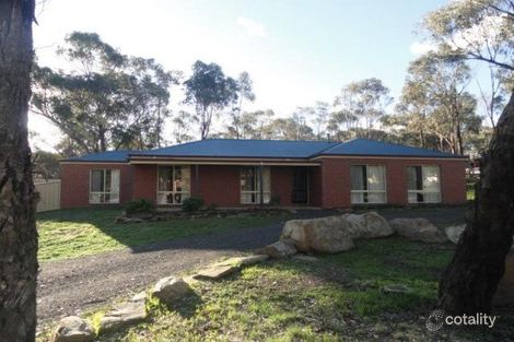 Property photo of 11 Bedarra Court Maiden Gully VIC 3551