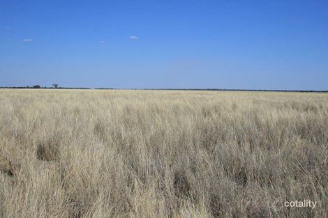 1155 Rosevale Rd, Wyandra, QLD 4489