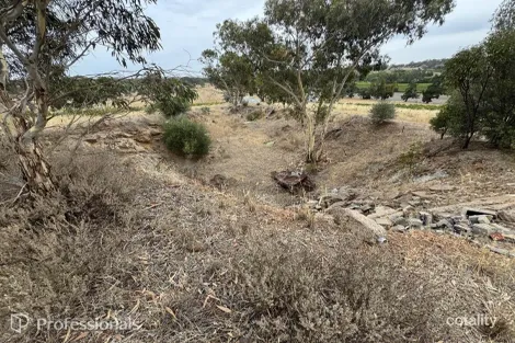 Property photo of 59 McRae Wood Road Stanley Flat SA 5453