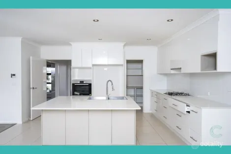 Property photo of 55 Rylstone Crescent Crace ACT 2911