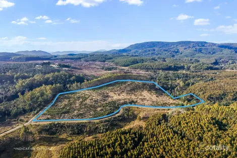 277 Diddleum Rd, Tayene, TAS 7259