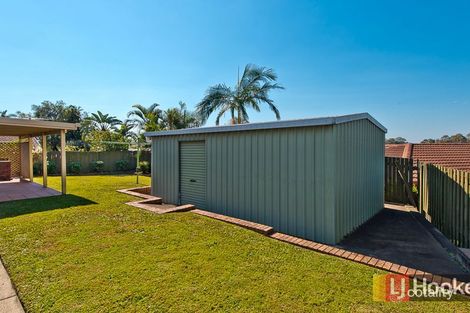 Property photo of 3 Milsted Court Bracken Ridge QLD 4017