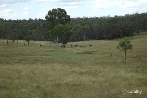 Property photo of 8049 Isis Highway Golden Fleece QLD 4621