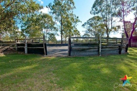 Property photo of 21 Tulipwood Road Cedar Grove QLD 4285