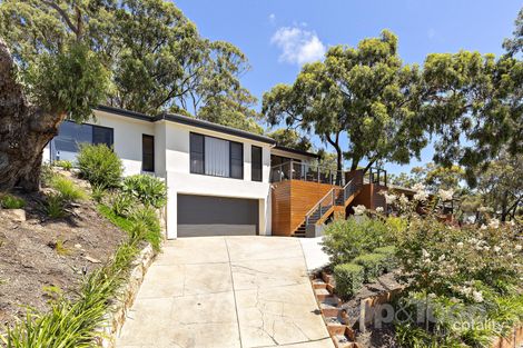 Property photo of 73 Birksgate Drive Urrbrae SA 5064