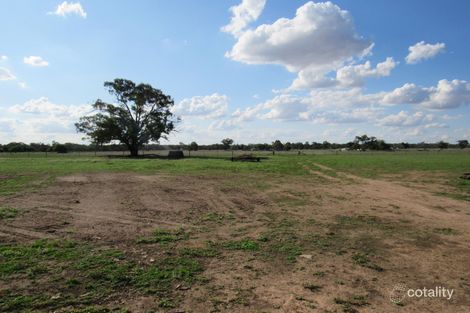 Property photo of 25 Pine Lane Walla Walla NSW 2659