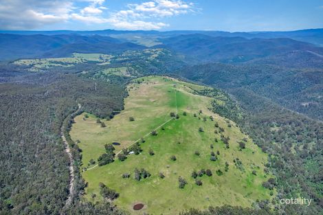 2831 Gelantipy Rd, W Tree, VIC 3885