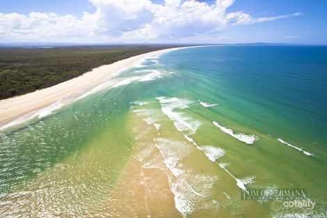 Property photo of 16 Swallowtail Street Noosa North Shore QLD 4565
