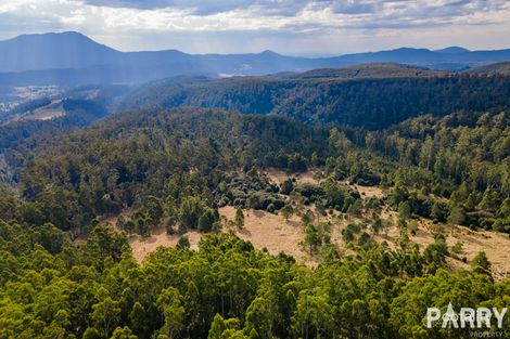 585-627 Mount Barrow Rd, Nunamara, TAS 7259