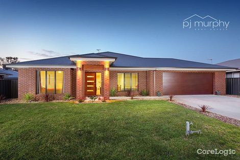 Property photo of 35 Whiteley Circuit Baranduda VIC 3691