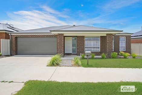 19 Maitland Cres, West Wodonga, VIC 3690