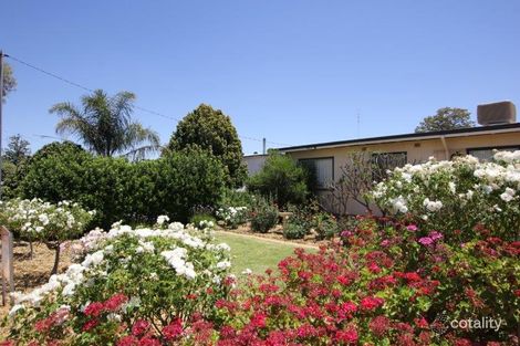 Property photo of 41 Thomas Street Narembeen WA 6369