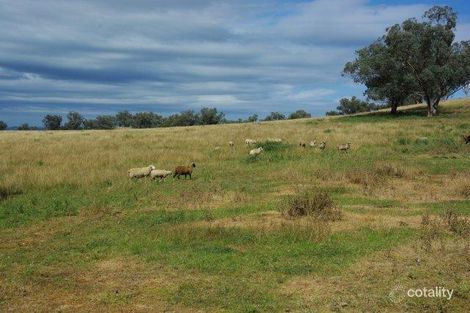 Property photo of 324 Dripstone Road Neurea NSW 2820