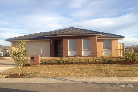 Property photo of 19 Bellinger Street The Ponds NSW 2769