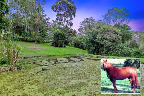 5-7 Dulong School Rd, Dulong, QLD 4560