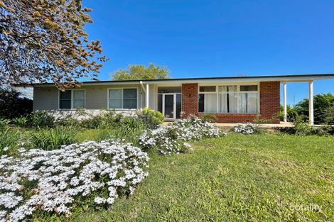 Property photo of 33 Hills Street Young NSW 2594