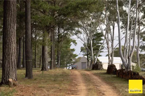 270 Pine Bank Dr, Lower Boro, NSW 2580