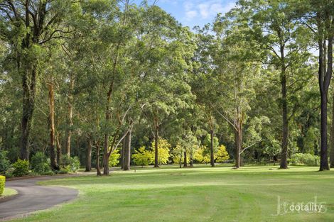 Property photo of 6 Elouera Close Brandy Hill NSW 2324