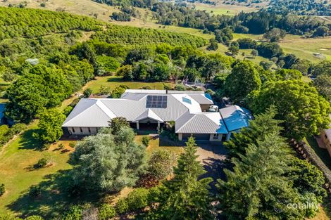 3 Pagottos Ridge Rd, North Lismore, NSW 2480