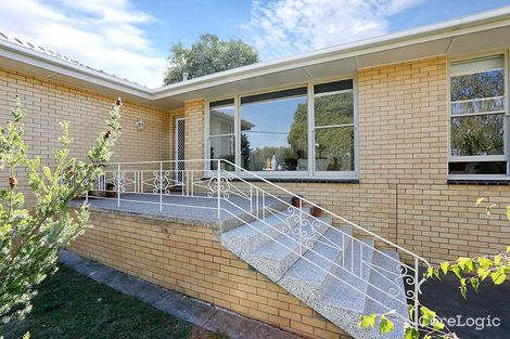 Property photo of 56 Cambra Road Belmont VIC 3216