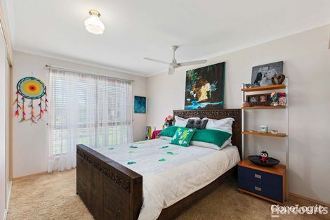 Property photo of 50 Bowerbird Avenue Eli Waters QLD 4655