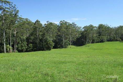 Lot 1 Elliots Rd, Tamban, NSW 2441