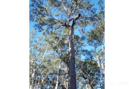 Property photo of 8 Sylvan Rest Quindalup WA 6281