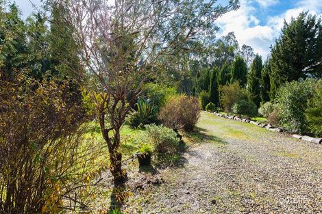 Property photo of 17 Park Avenue Eildon VIC 3713