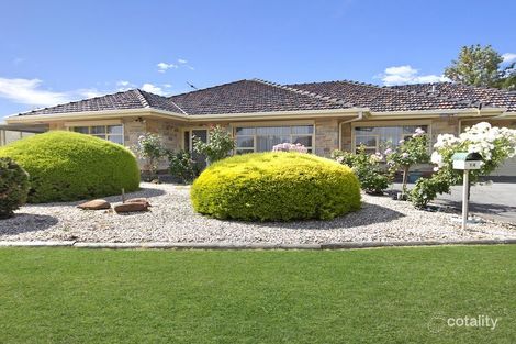 14 Alexander Ave, Modbury North, SA 5092