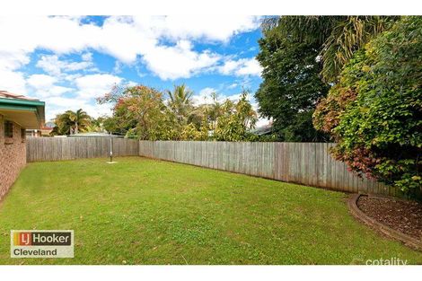 Property photo of 14 Omega Avenue Cleveland QLD 4163