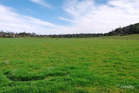Property photo of 89 Lindsays Road Whitemore TAS 7303
