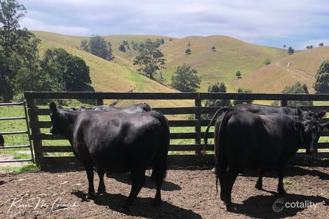 Property photo of 90A Grand Ridge Road Seaview VIC 3821