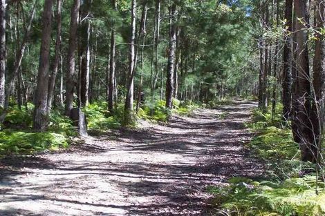 Property photo of 690 Schumanns Road Eungella QLD 4757