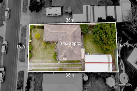 Property photo of 14 Ivy Street Parkdale VIC 3195