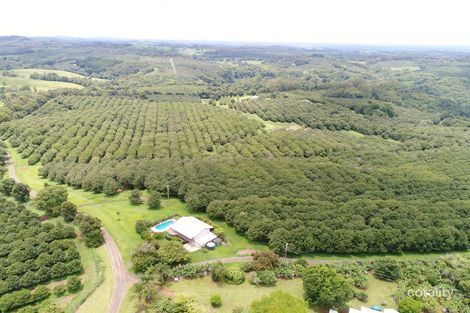 11 Ashlin Rd, Whian Whian, NSW 2480