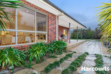Property photo of 19 Dorset Drive Alfredton VIC 3350