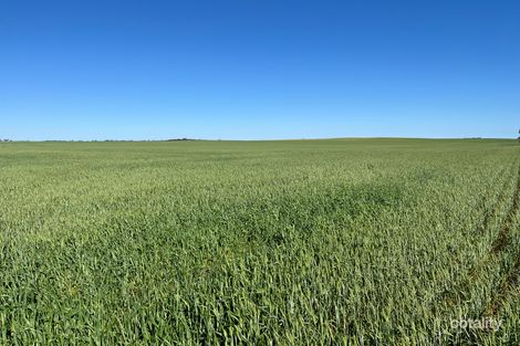 Lot 55 Parker Rd, Pinery, SA 5460
