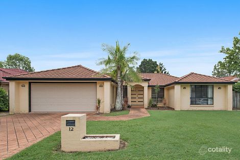 Property photo of 12 Brooke Close The Gap QLD 4061