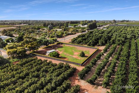 64 Tarcoola St, Renmark West, SA 5341