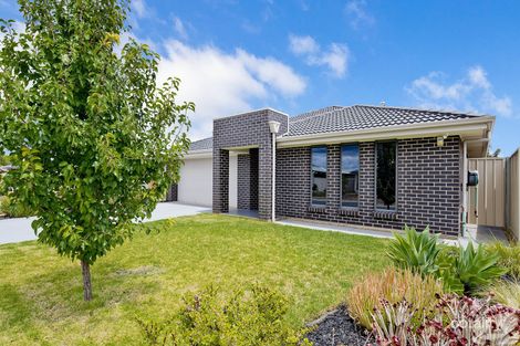 Property photo of 11 Wilson Court Reid SA 5118