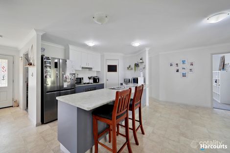 Property photo of 4 Cockatoo Court Apple Tree Creek QLD 4660